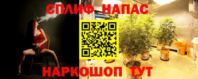 СК Шебекино