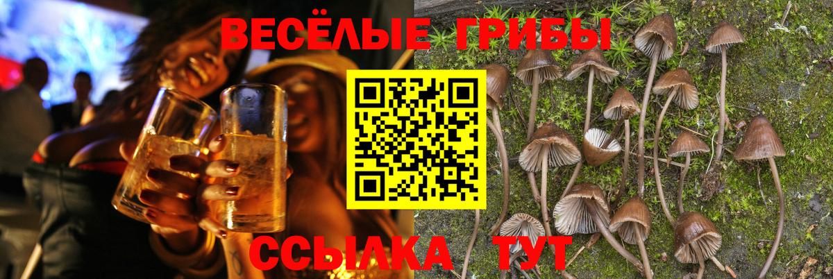 наркошоп  Вход с VPN  Орехово-Зуево  Псилоцибиновые грибы Magic Shrooms 